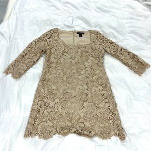 White House black market ladies dress size 6